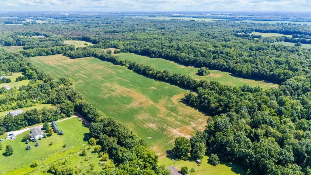 Picture 11