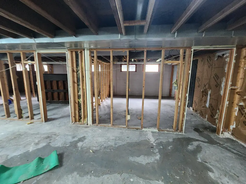 Picture 5