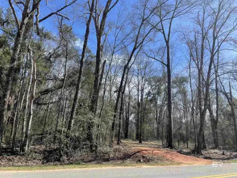 Two-Acre Wooded Residential Lots