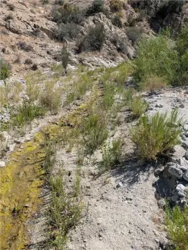 Desert Land with Seasonal Water