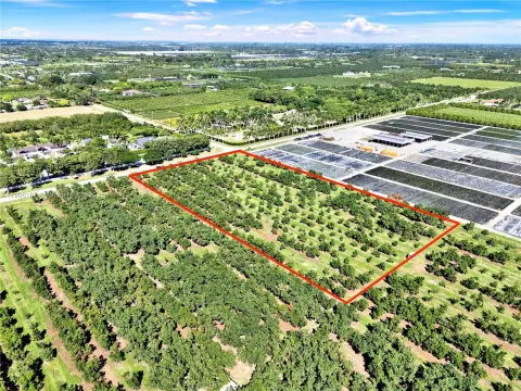 5+ Acres Avocado Grove