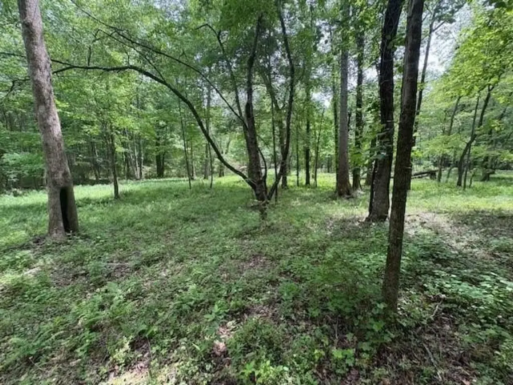 Picture 7