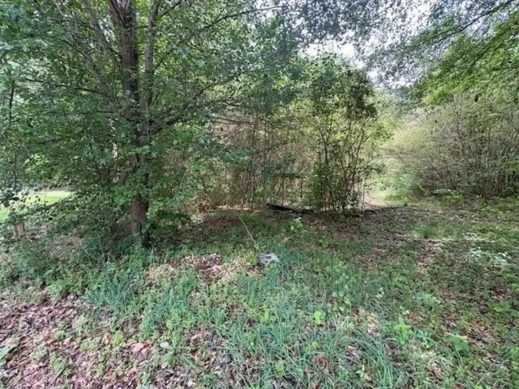 Picture 4