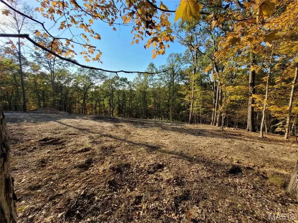 Picture 9