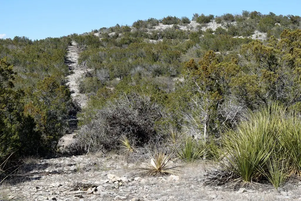Picture 10
