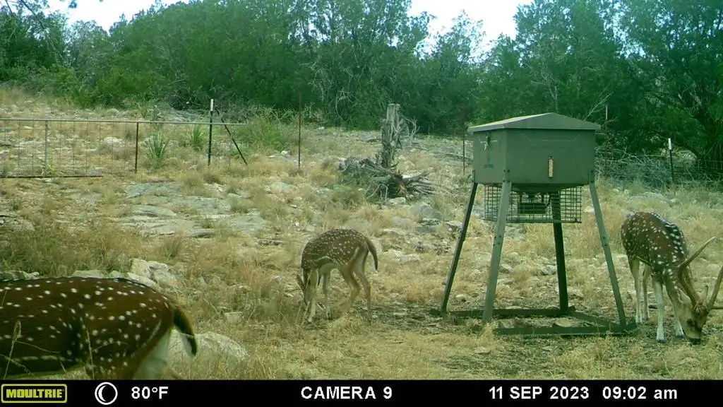 Picture 26