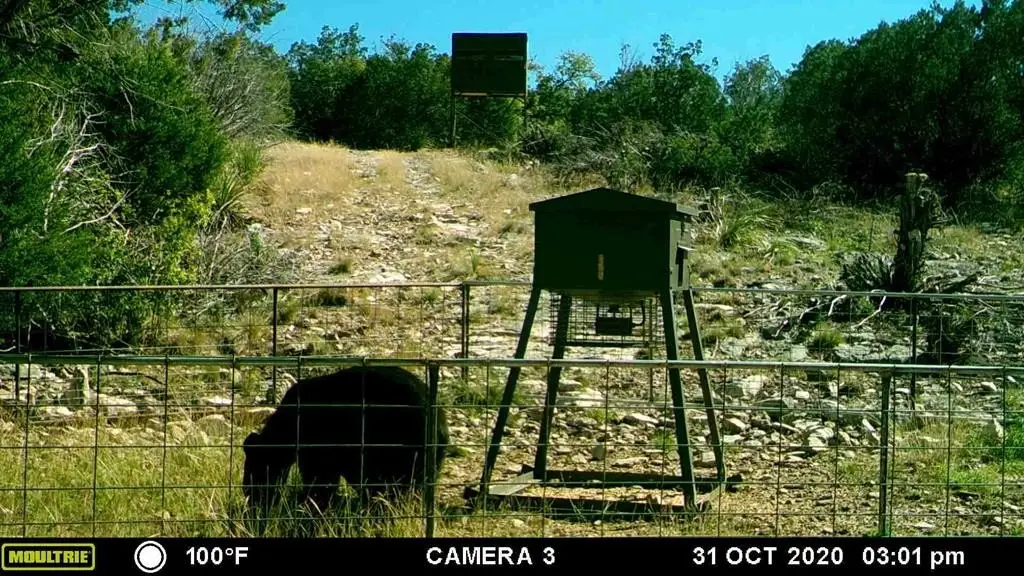 Picture 23