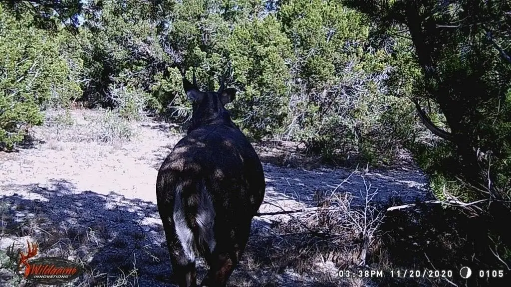 Picture 28