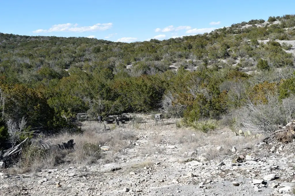 Picture 12