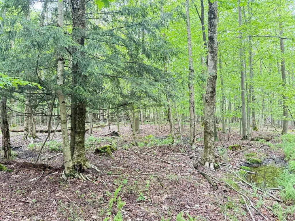 Picture 20