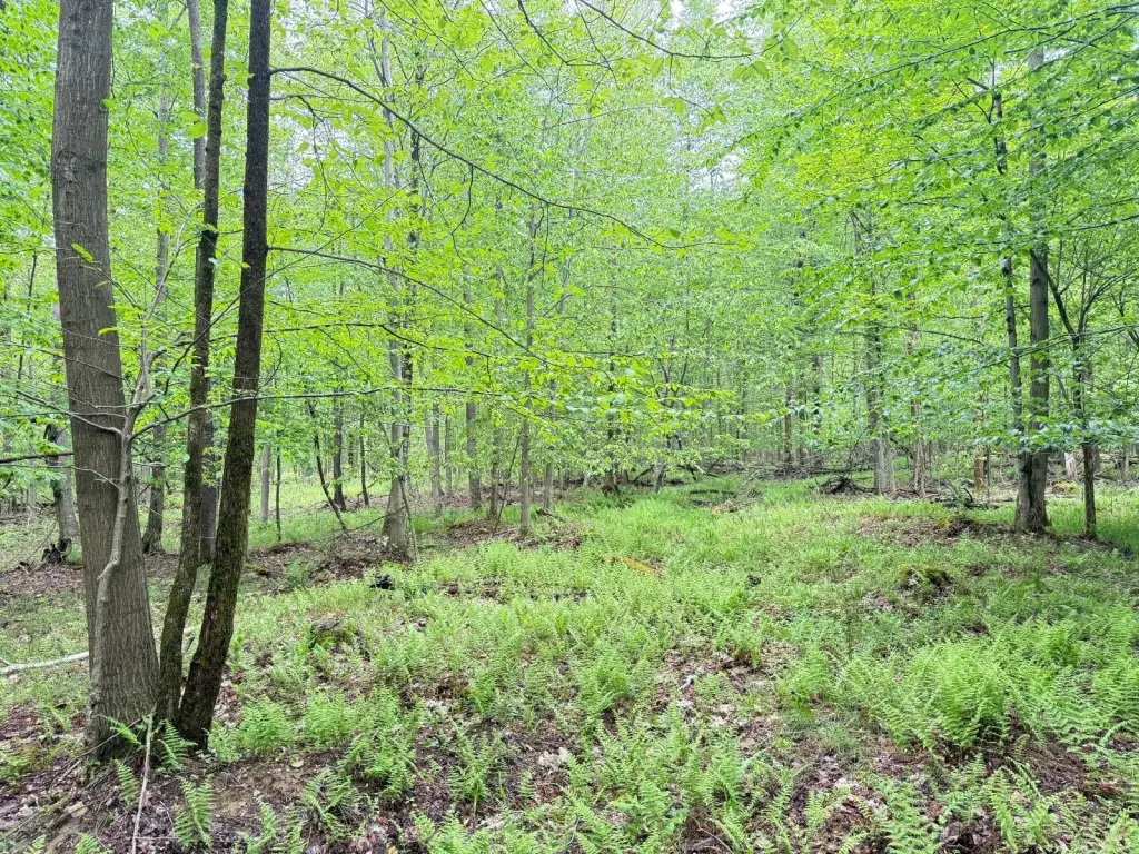 Picture 21