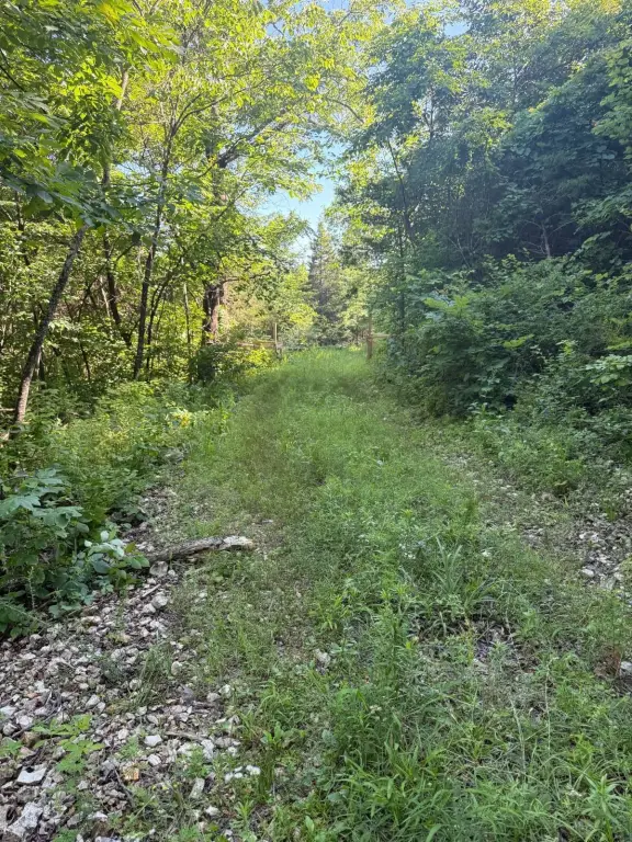 Picture 19