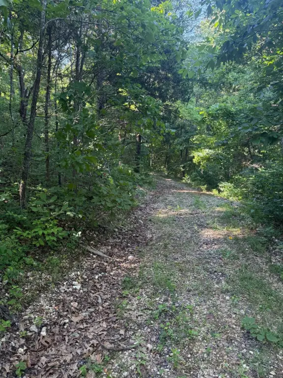 Picture 18