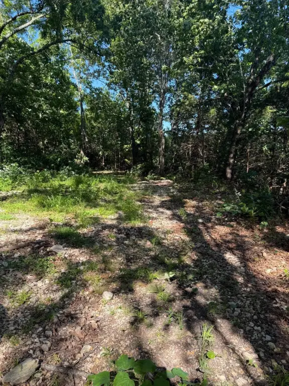 Picture 26