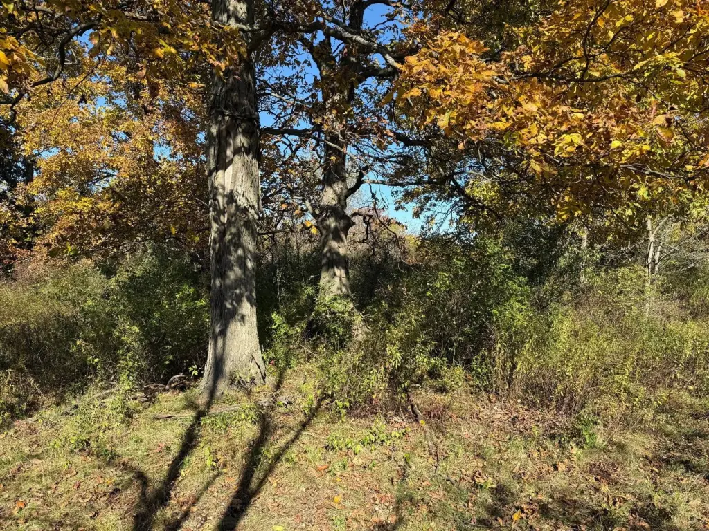 Picture 25