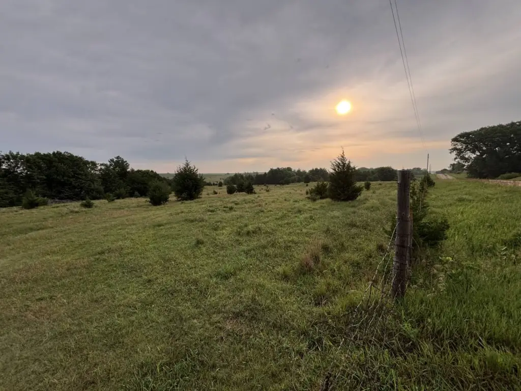 Picture 11