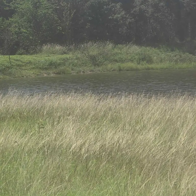 Picture 36