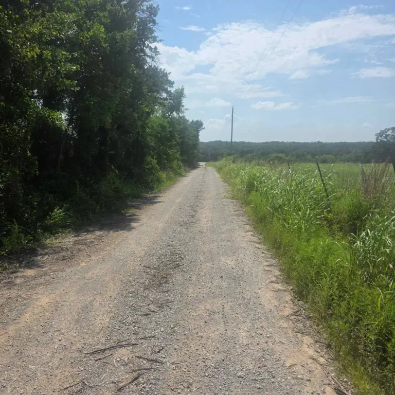 Picture 35