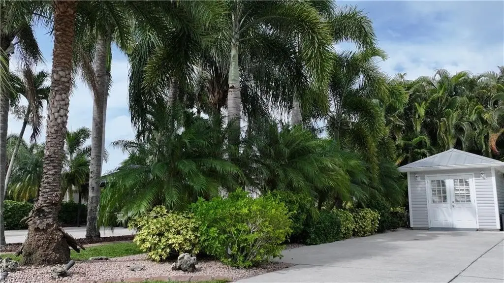 Picture 15
