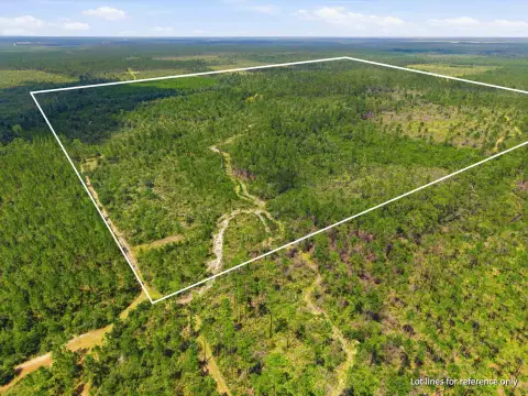 Hunting Land with Year-Round Creek