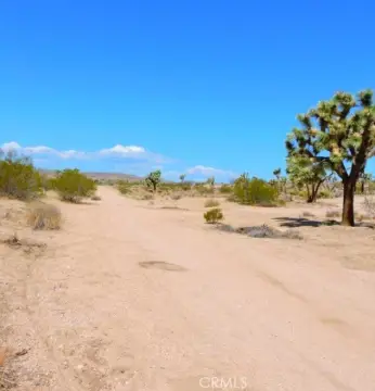 2.31 Acres in Yucca Valley