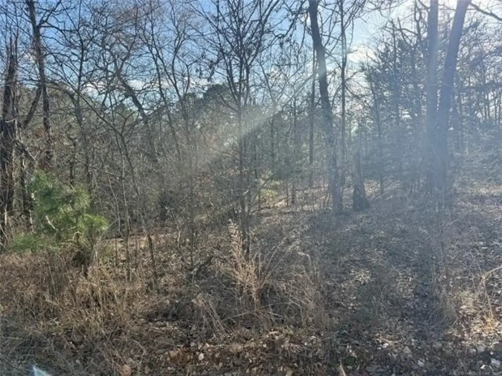 Picture 5