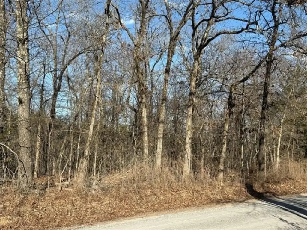 Picture 3