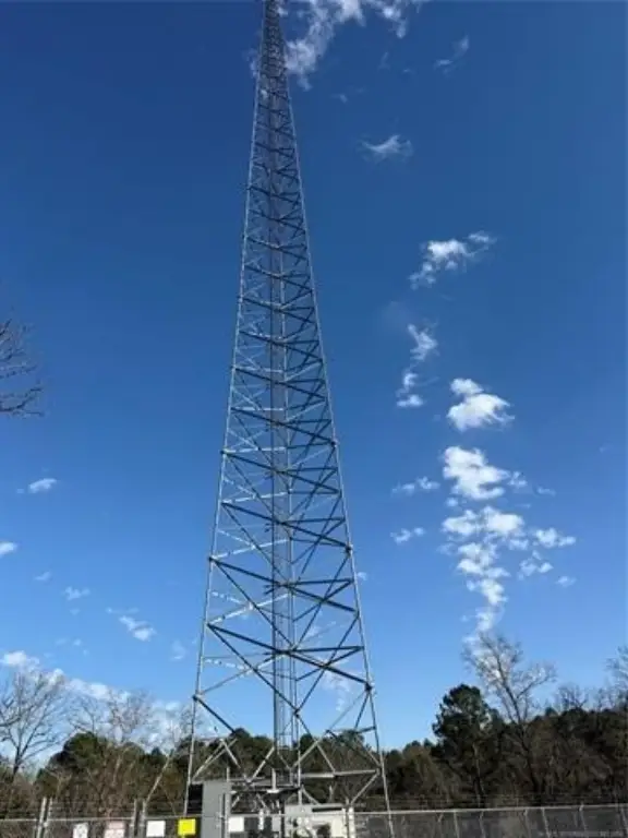 Picture 11