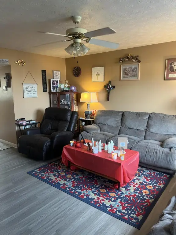 Picture 5