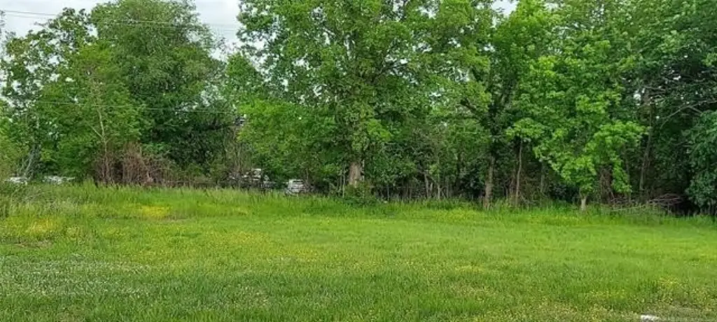 Picture 2