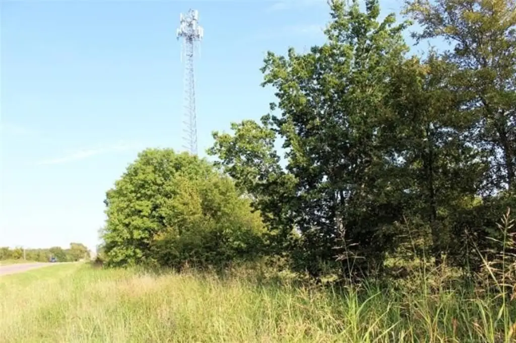 Picture 19