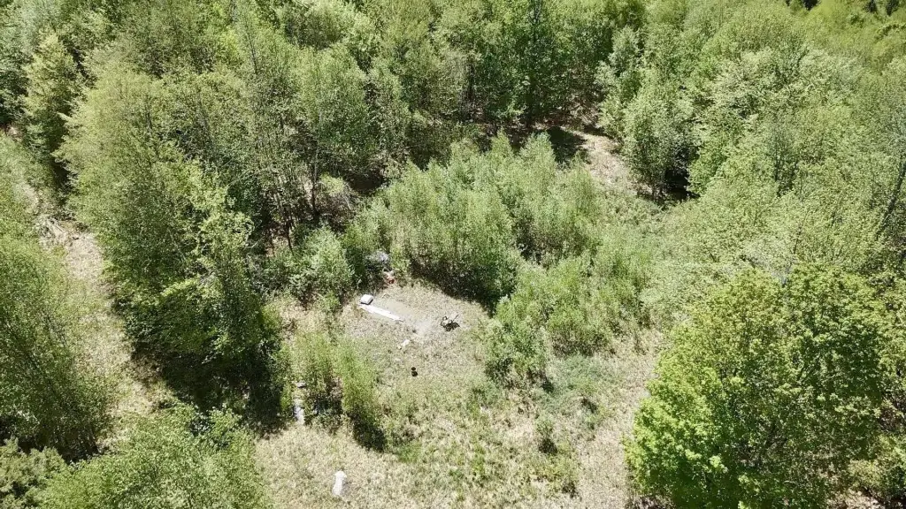 Picture 15