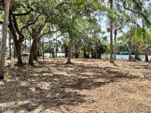 Waterfront Acreage in Crystal River