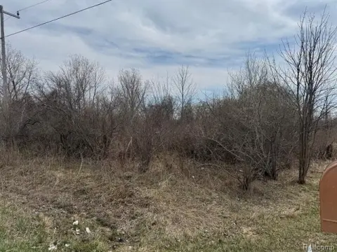 Buildable Land in Clyde Township