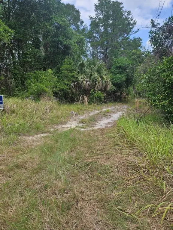 Picture 5