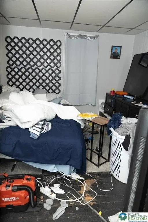 Picture 42