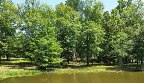 Eutaw, AL Commercial Land