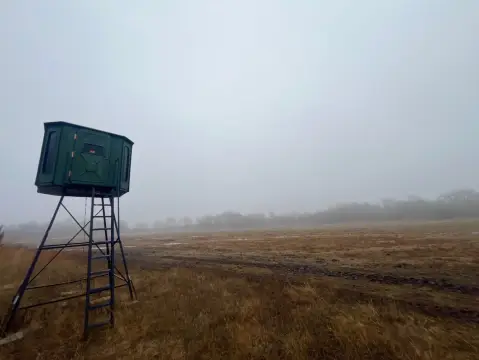 Prime Hunting Land with Hardwoods
