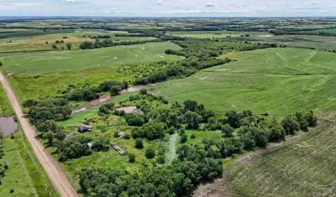 Productive Farmland with Timber