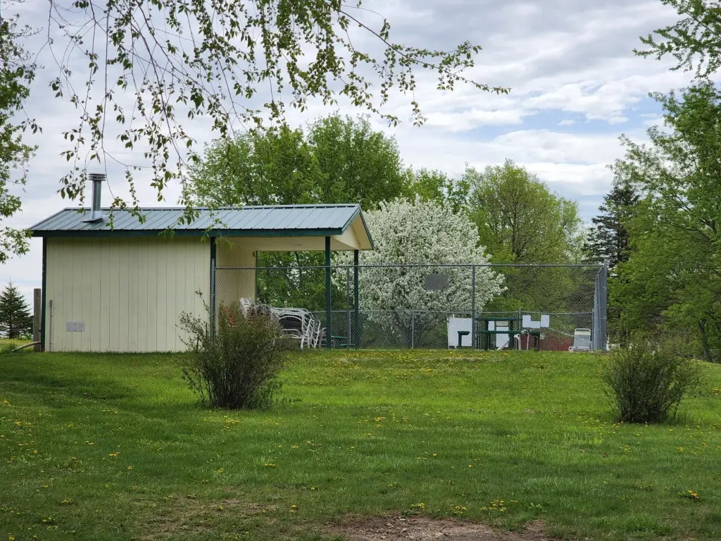 Picture 17