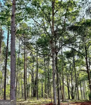 Residential Land in Nicholson, GA