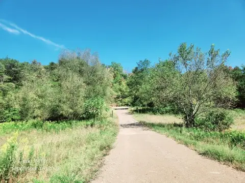 Partially Wooded Lot on Barree