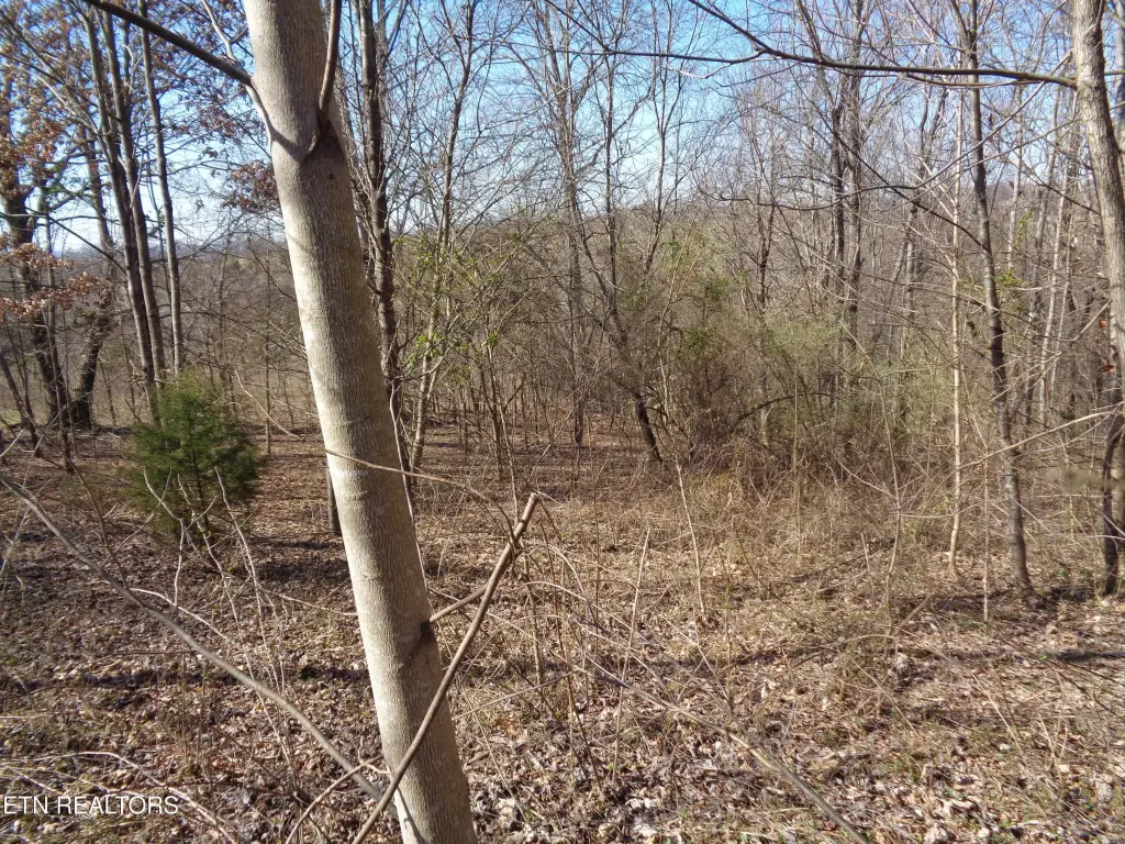 Picture 8