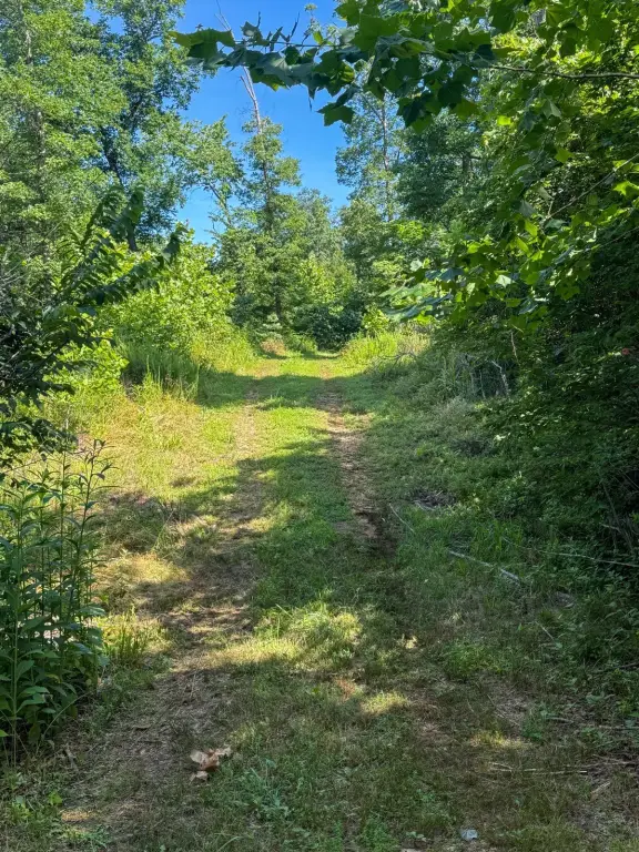 Picture 21