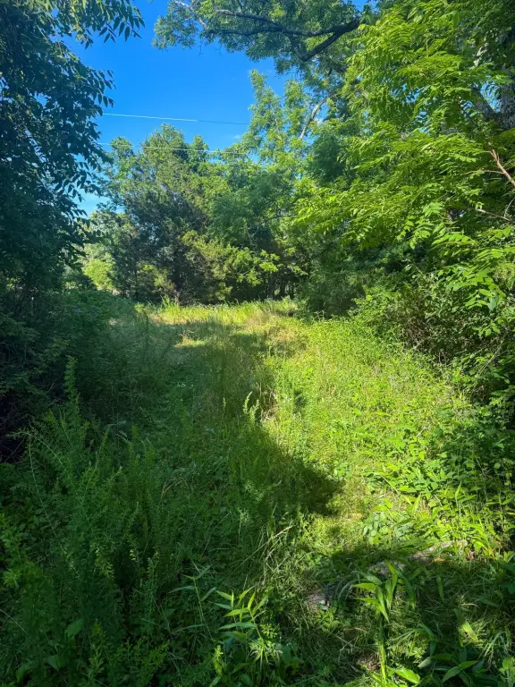 Picture 36
