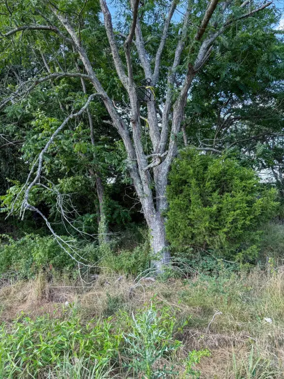 Picture 48