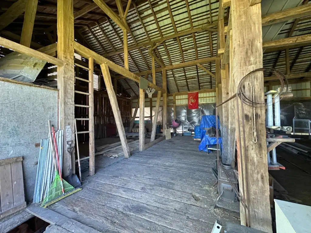 Picture 65