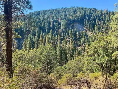6.5 Acres with Canyon Views