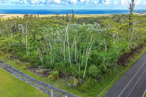 Ocean View Acre in Leilani