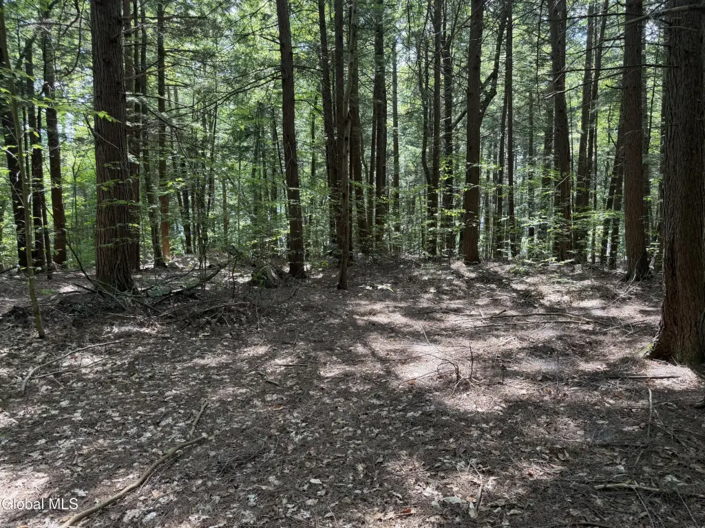 Picture 19